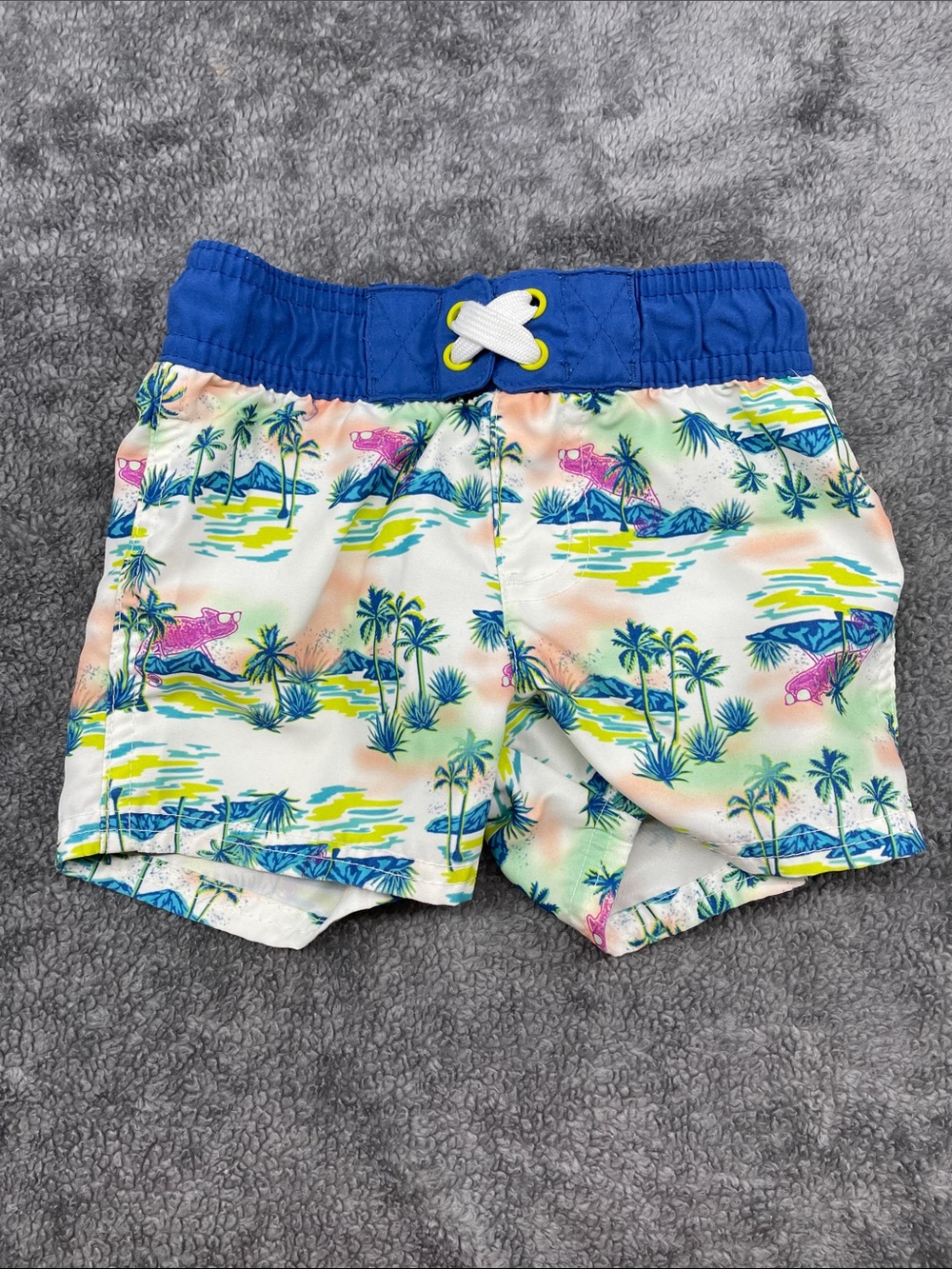 12M Cat & Jack Swim Trunks